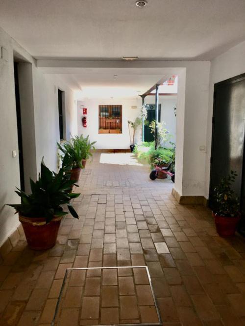 La Terraza Azul Apartman Sevilla Kültér fotó