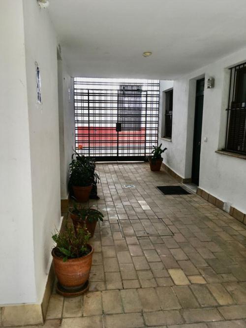 La Terraza Azul Apartman Sevilla Kültér fotó